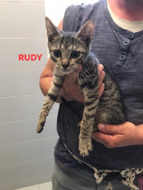RUDY Foto 3